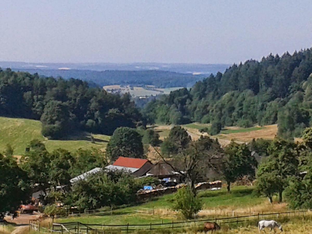 Fewo Darsberg Neckarsteinach Luaran gambar