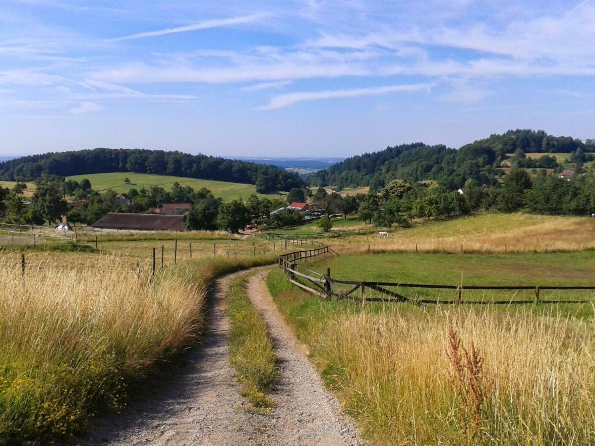 Fewo Darsberg Neckarsteinach Luaran gambar